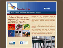 Tablet Screenshot of amoseyinc.com
